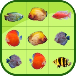 下载app送体验金26元